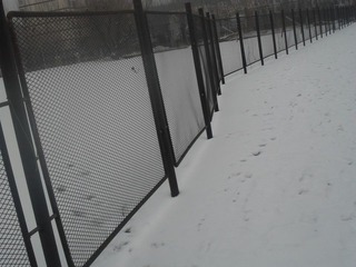 SAM_0440