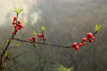 IMG_0479.jpg