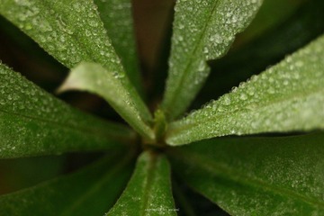 IMG_0455.jpg