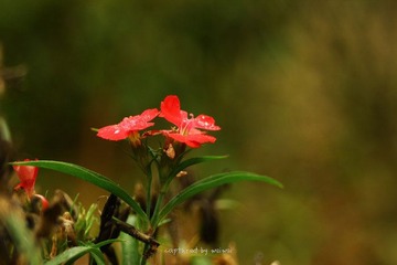 IMG_0648.jpg