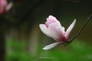 IMG_0856.jpg