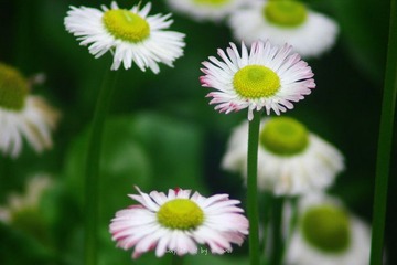 IMG_0904.jpg