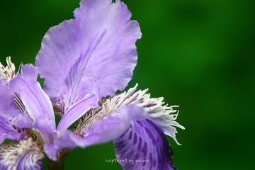 IMG_0900.jpg