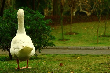 IMG_1165.jpg