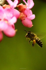 IMG_1508.jpg