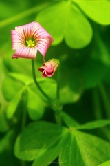 IMG_1422.jpg