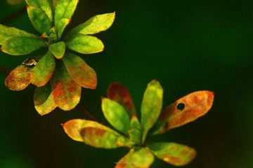 IMG_1427.jpg