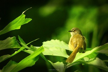 IMG_1467.jpg