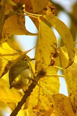 IMG_1747.jpg