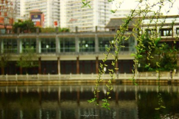 IMG_1914.jpg
