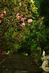 IMG_1957.jpg