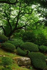 IMG_1963.jpg