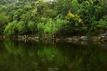 IMG_1967.jpg