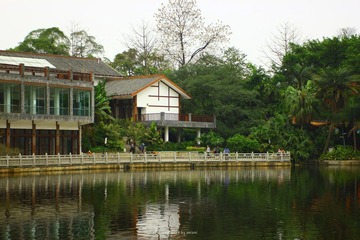 IMG_1969.jpg