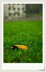 IMG_1904.jpg