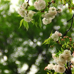 IMG_2967.jpg