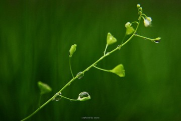 IMG_3373.jpg
