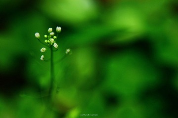 IMG_3480.jpg