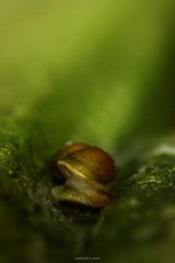 IMG_3465.jpg