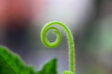 IMG_6557.jpg