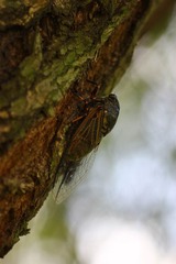 IMG_6705.jpg