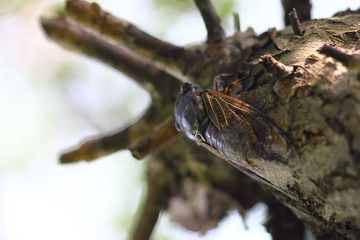 IMG_6714.jpg