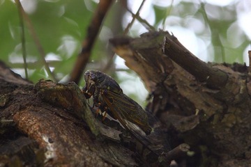 IMG_6717.jpg