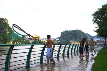 IMG_6671.jpg