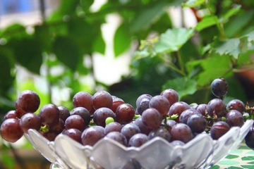 IMG_6653.jpg