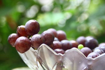 IMG_6656.jpg