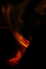 IMG_0302.jpg