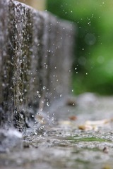 IMG_9893.jpg