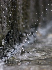 IMG_9879.jpg