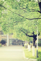 IMG_0036_副本.jpg