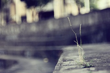 IMG_0055_副本.jpg