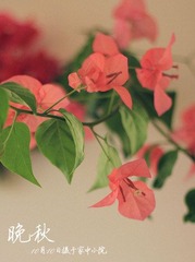 IMG_1085_副本1.jpg