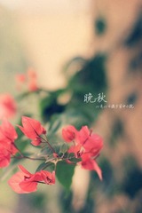 IMG_1087_副本1.jpg