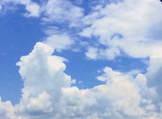 A4A296AA-A514-4A7E-8767-B166FD790166/L0/001