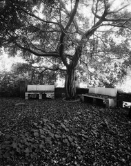 Untitled-5.jpg