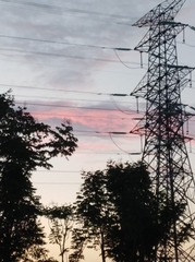 2433