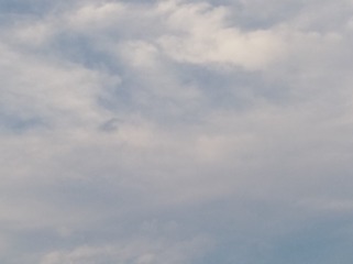 308831