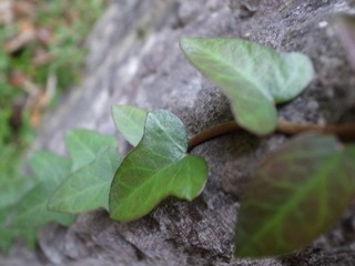 R0010269.JPG