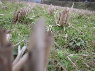 R0010279.JPG