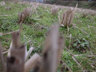 R0010280.JPG