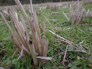 R0010281.JPG
