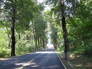 R0013566.JPG