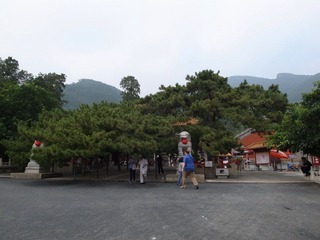 R0013715.JPG