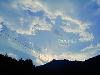 2268153