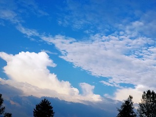 2285666