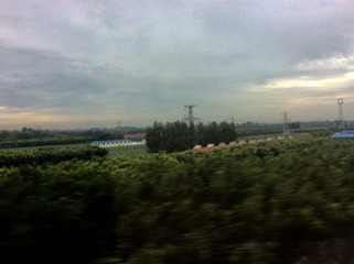 E80D5D99-F990-4201-8B51-8D14BE2B15A5/L0/001